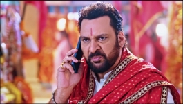 Apollena - 5th February 2025